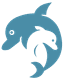 Dolphin Lovina Dewata image